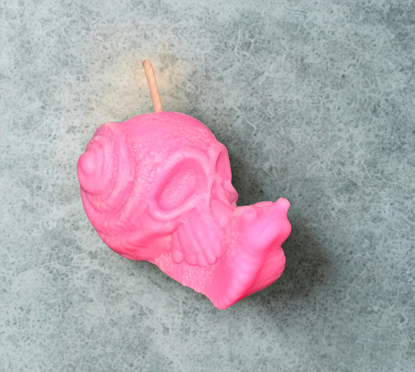 Skull Snail Pillar