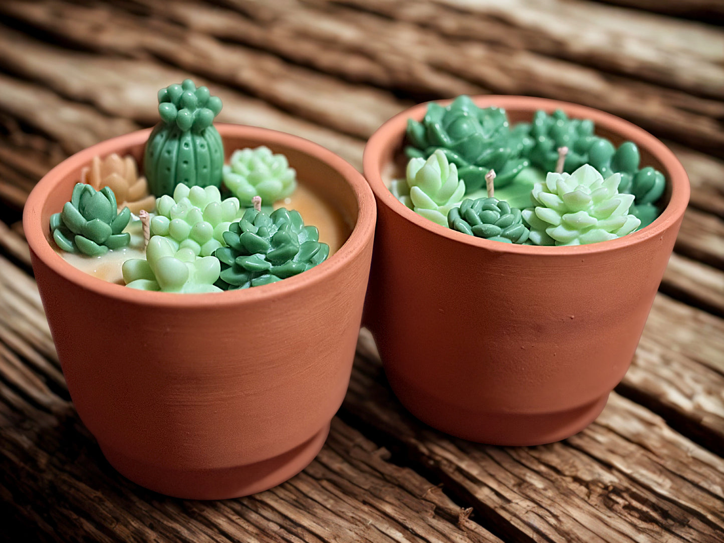 Succulent Terracotta Pot Candles
