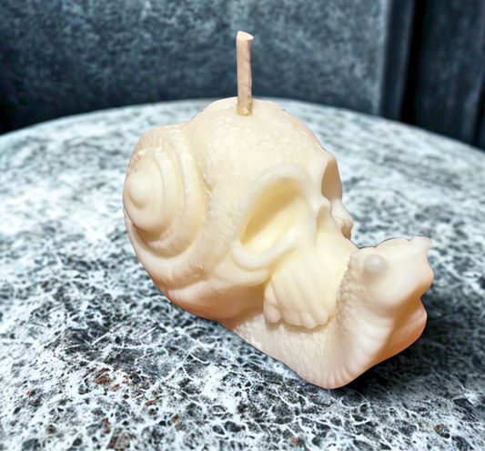 Skull Snail Pillar