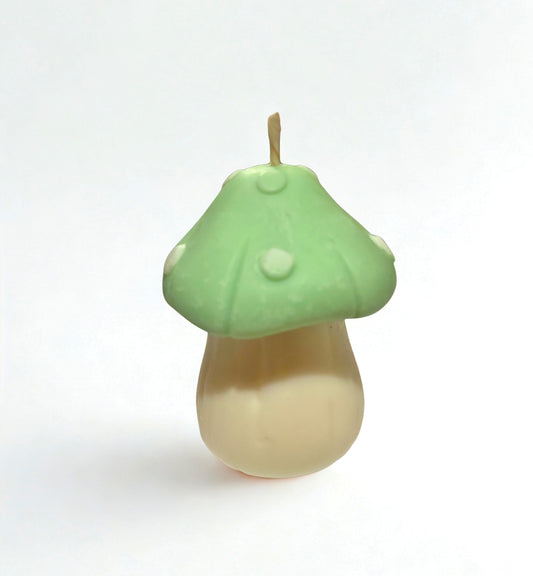 Mushroom Pillar