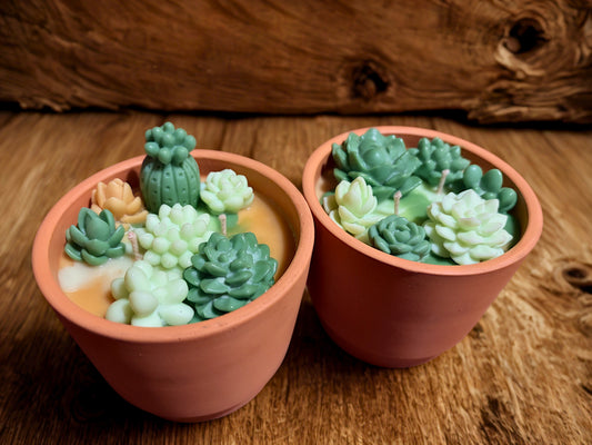Succulent Terracotta Pot Candles