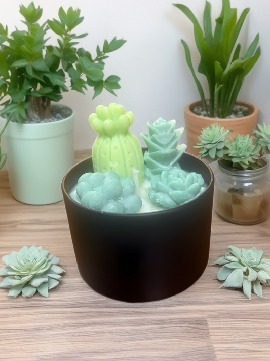 Various Succulent Candle Mini