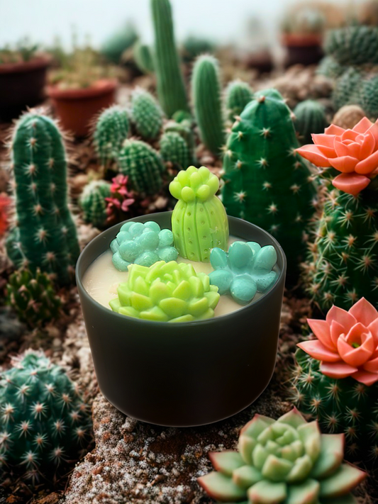 Various Succulent Candle