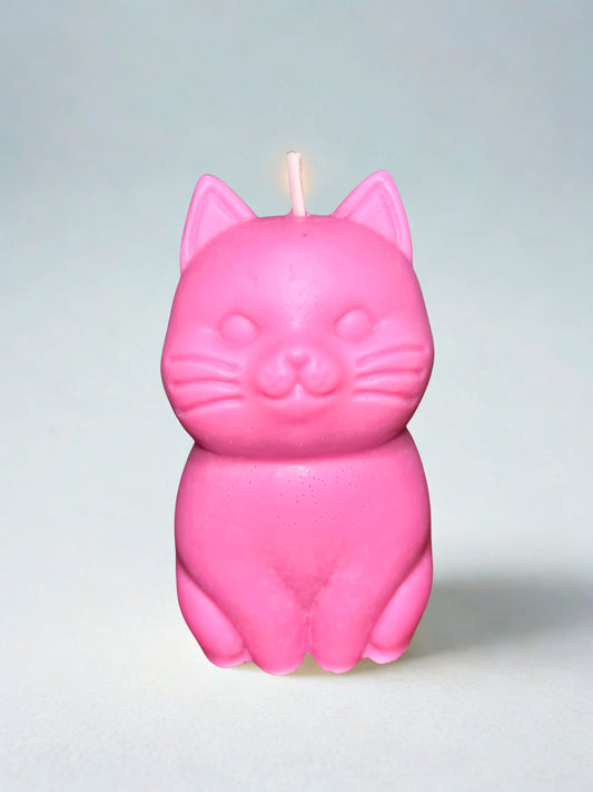 Kitty Pillar