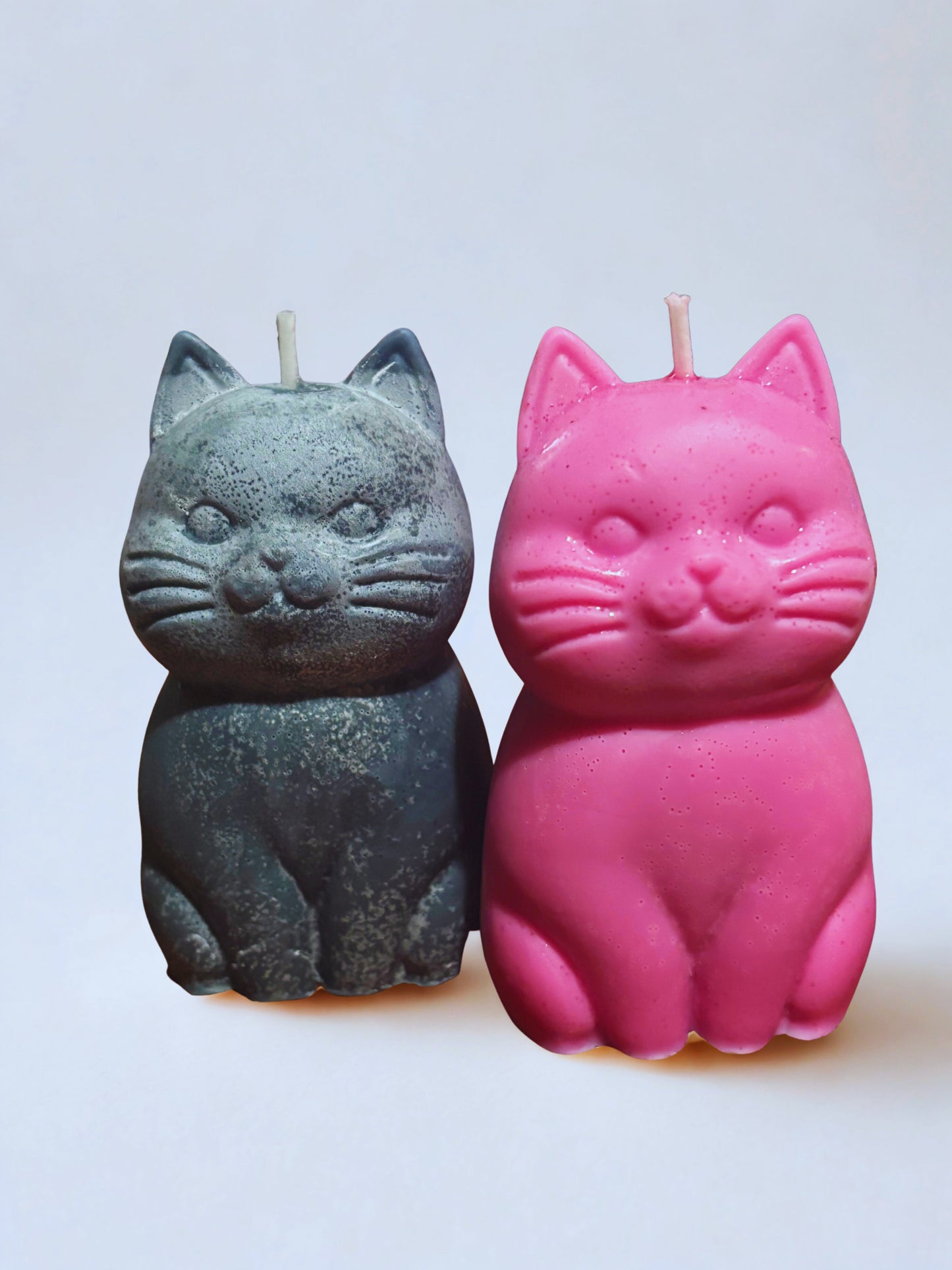 Kitty Pillar